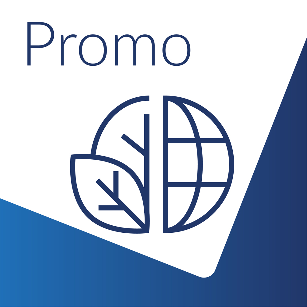 Promo